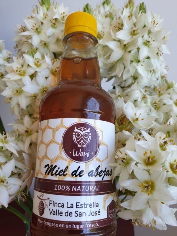 MIEL DE ABEJAS 100% PURA