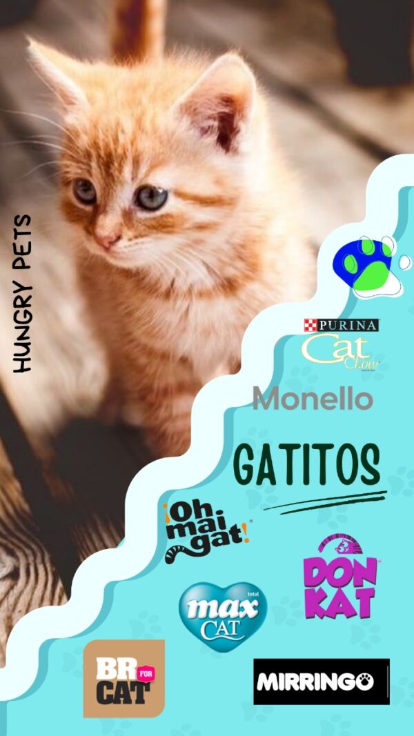 HUNGRY PETS - Image 2